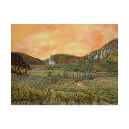 Guido Borelli 'Le Vigne Del 2010' Canvas Art,14x19